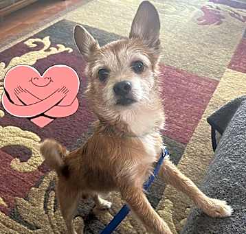 Photo of Tucker