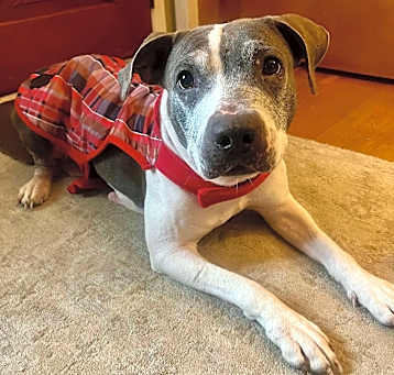 Photo of Cranberry