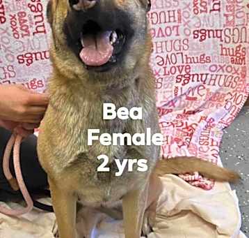Photo of Bea