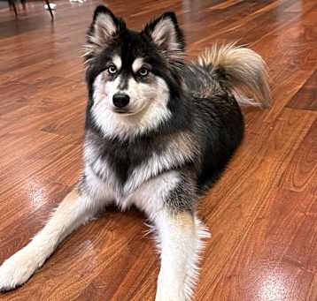 Photo of Wally