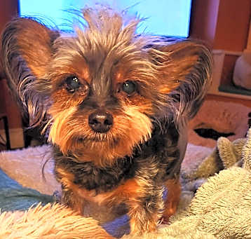 Photo of Gregory
