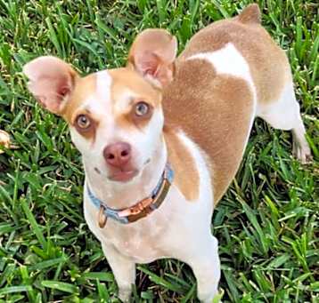 Photo of Cuky