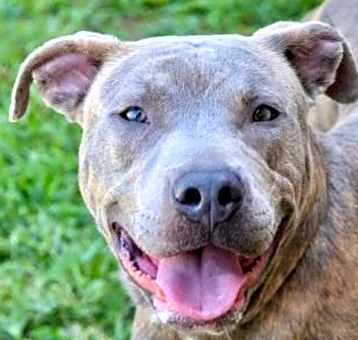 Photo of Titus