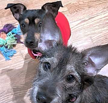 Photo of Winnie and WIla