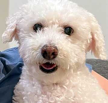 Photo of Sunny #502