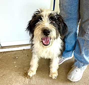 Photo of Annie