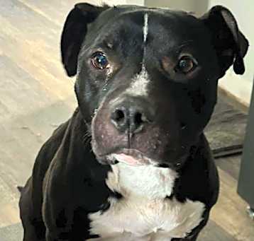 Photo of Argos