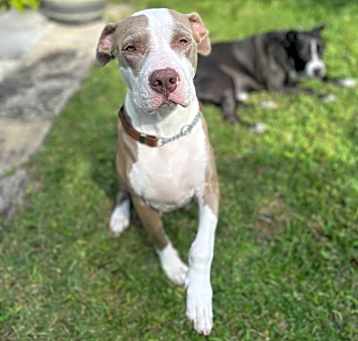 Photo of Millie
