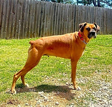 Photo of Heidi