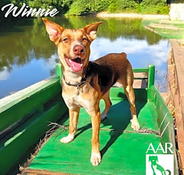Photo of Winnie