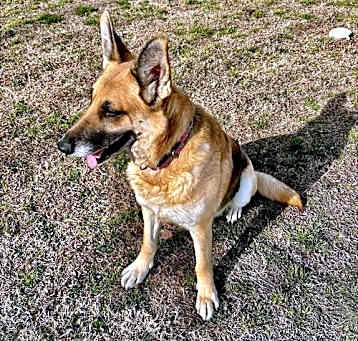 Photo of Missy