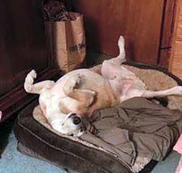 Photo of Tully