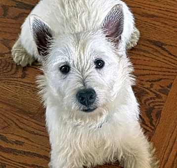 Photo of Gideon