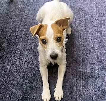 Photo of Maci in Cypress