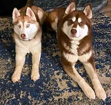 Photo of Kya