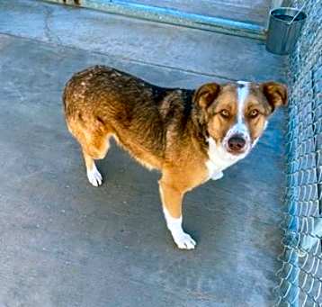 Photo of Dutchie