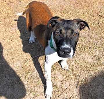 Photo of LeeLee