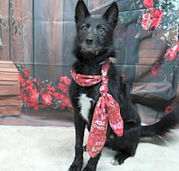 Photo of Taz