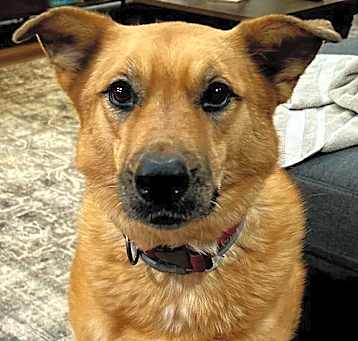 Photo of SPECIAL STELLA