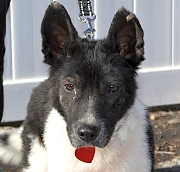 Photo of Mr. Charlie