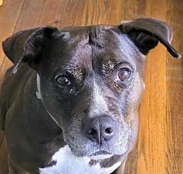 Photo of Lexi