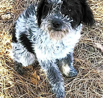 Photo of Tristan