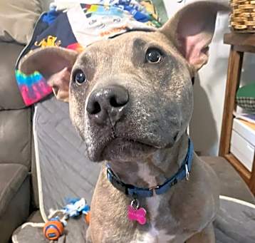 Photo of ACE