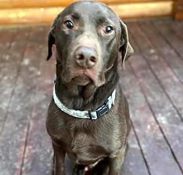 Photo of Max