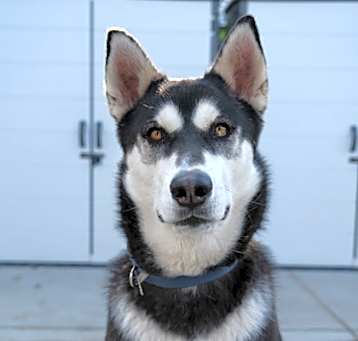 Photo of Jack
