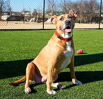 Photo of Nyla
