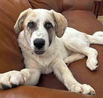 Photo of Buffy