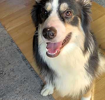 Photo of Zuko