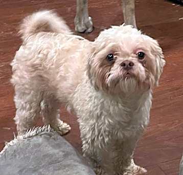 Photo of Uffie