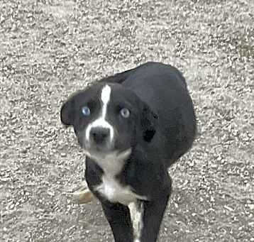 Photo of Darla
