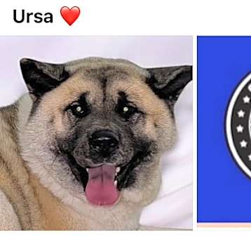 Photo of URSA