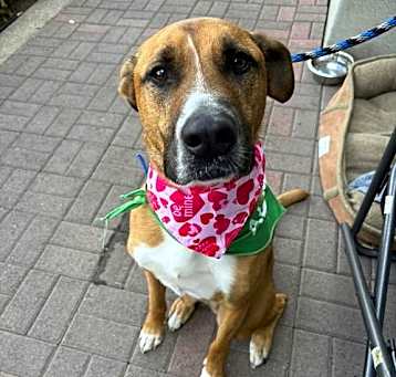Photo of Buster