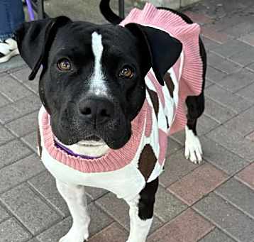 Photo of Candy