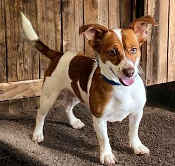 Photo of Ketcher