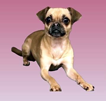 Photo of Fannie
