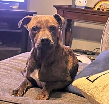 Photo of Mabel