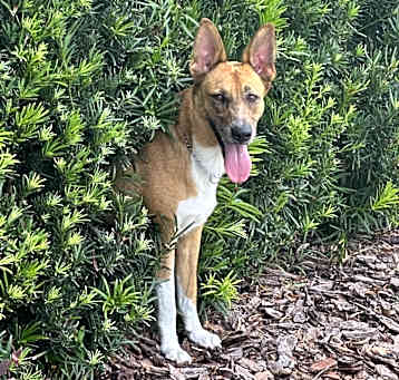 Photo of Hazel