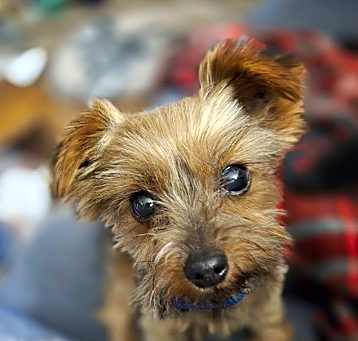 Photo of Betsy