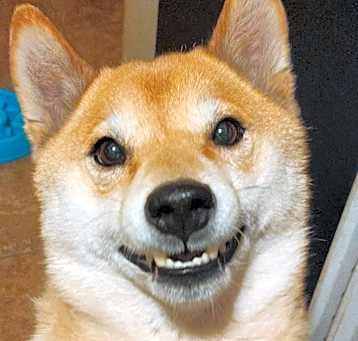 Photo of Oakley