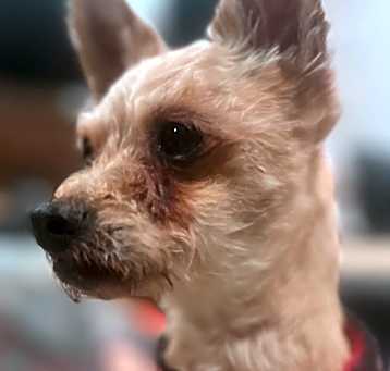Photo of Bernie