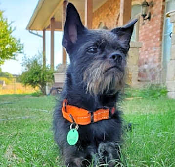Photo of Blake