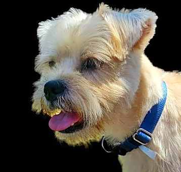 Photo of Doughboy