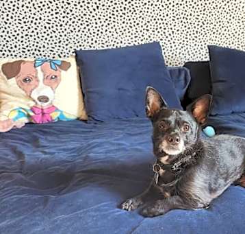 Photo of Pablo