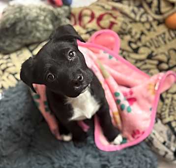 Photo of Greta