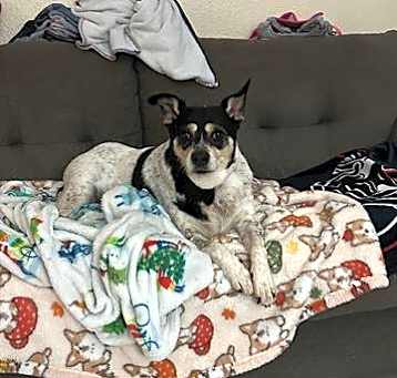 Photo of MITZI