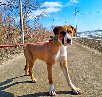 Photo of Lucy